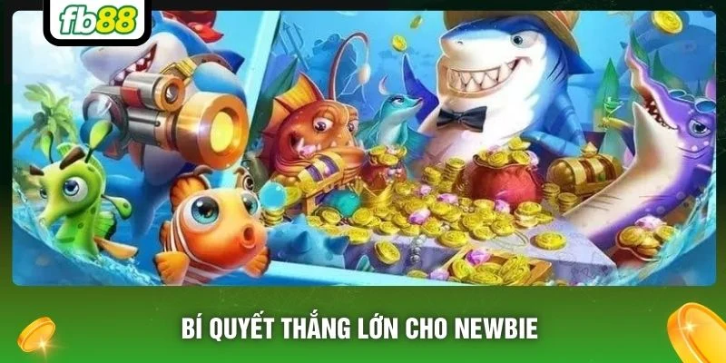 Bí quyết thắng lớn cho newbie
