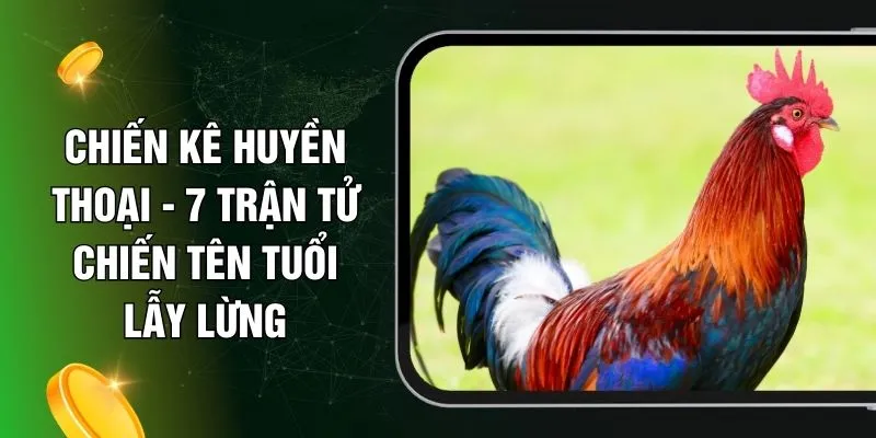 Chiến Kê Huyền Thoại - 7 Trận Tử Chiến Tên Tuổi Lẫy Lừng