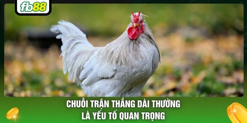 Chuỗi trận thắng dài thường là yếu tố quan trọng