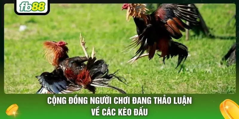 Cộng đồng người chơi đang thảo luận về các kèo đấu