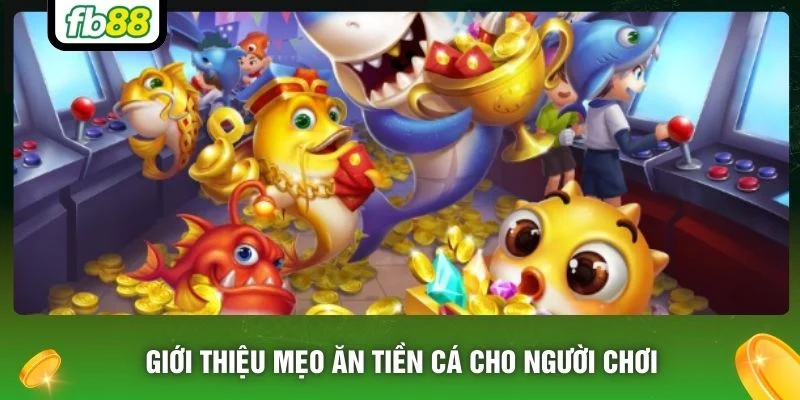 Giới thiệu mẹo ăn tiền cá cho người chơi