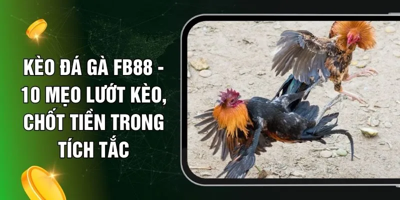 Kèo Đá Gà FB88 - 10 Mẹo Lướt Kèo, Chốt Tiền Trong Tích Tắc