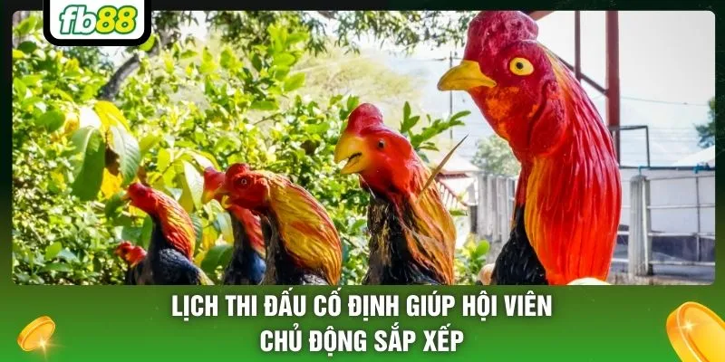 Lịch thi đấu cố định giúp hội viên chủ động sắp xếp 