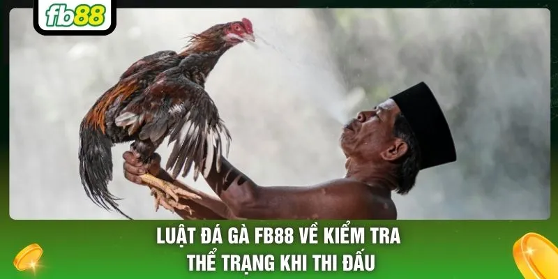 Luật đá gà FB88 về kiểm tra thể trạng khi thi đấu