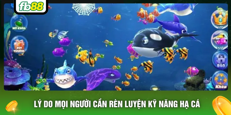 Lý do mọi người cần rèn luyện kỹ năng hạ cá