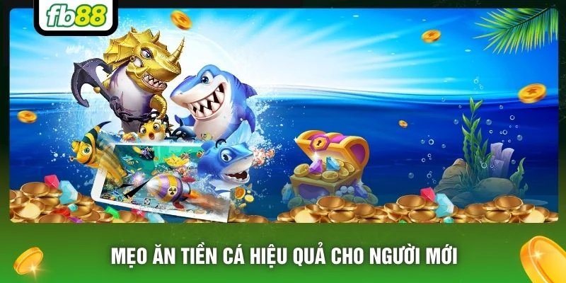 Mẹo ăn tiền cá hiệu quả cho người mới