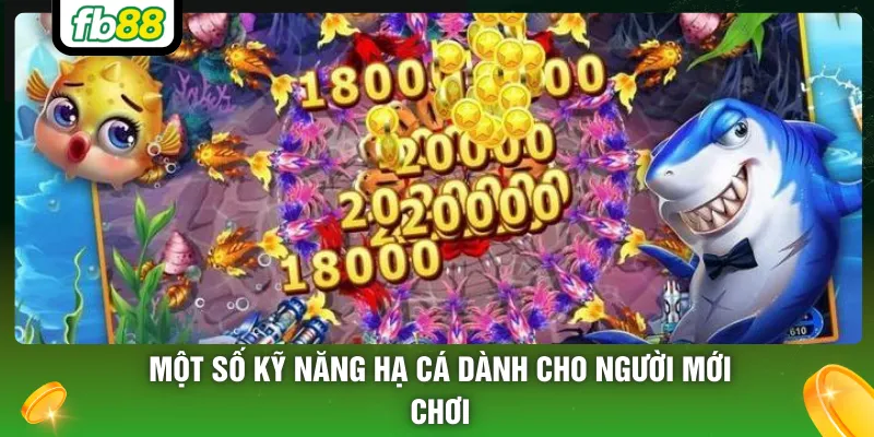 Một số kỹ năng hạ cá dành cho người mới chơi
