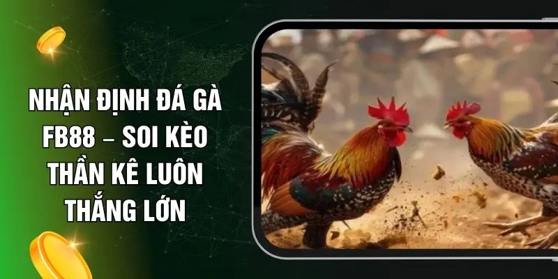 Nhận Định Đá Gà FB88 – Soi Kèo Thần Kê Luôn Thắng Lớn