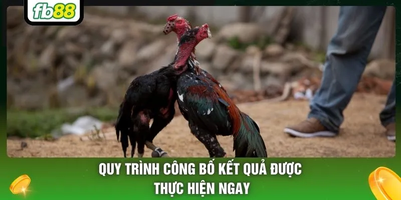 Quy trình công bố kết quả được thực hiện ngay