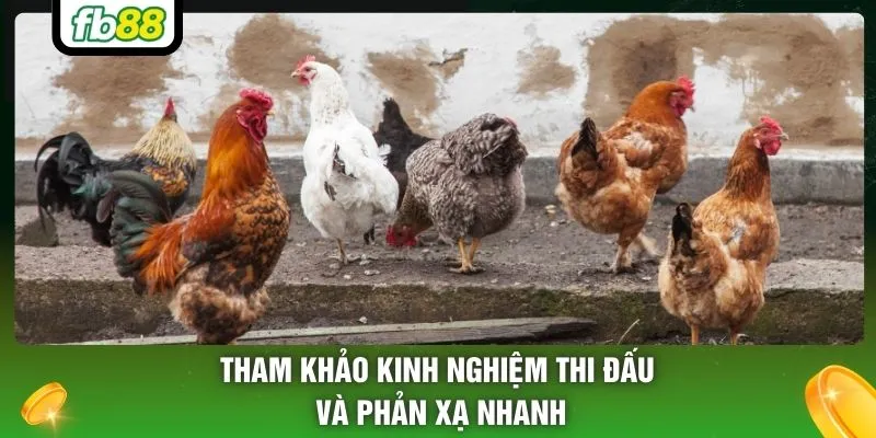 Tham khảo kinh nghiệm thi đấu và phản xạ nhanh