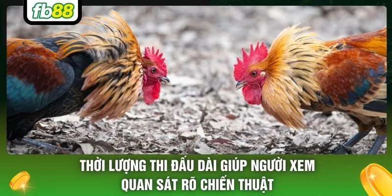 Thời lượng thi đấu dài giúp người xem quan sát rõ chiến thuật