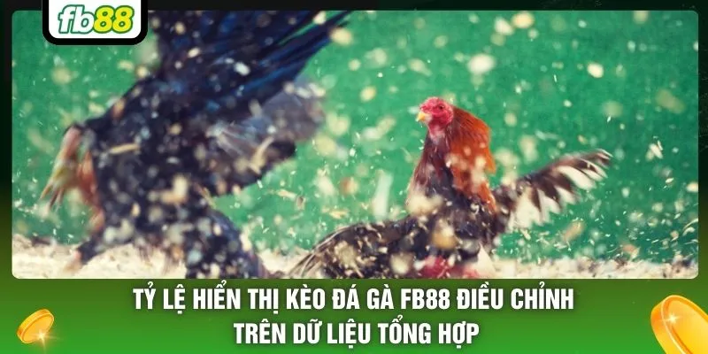 Tỷ lệ hiển thị kèo đá gà FB88 điều chỉnh trên dữ liệu tổng hợp