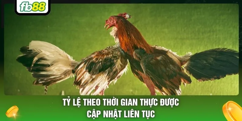 Tỷ lệ theo thời gian thực được cập nhật liên tục