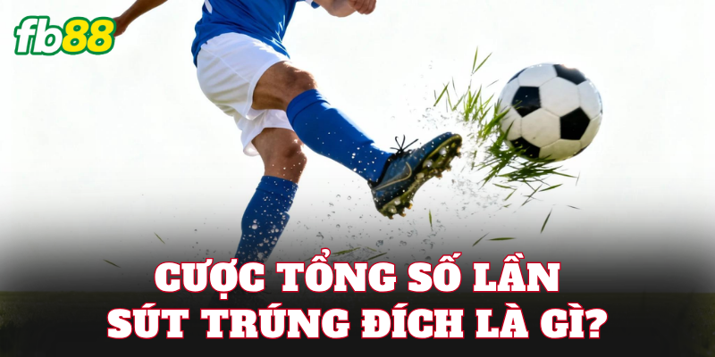 Cược tổng số lần sút trúng đích là gì?