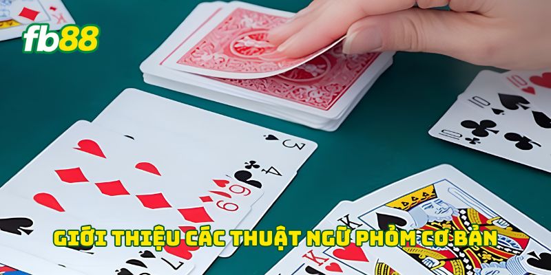 Giới thiệu các Thuật Ngữ Phỏm cơ bản