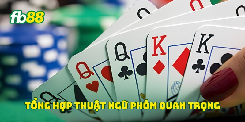 Tổng hợp Thuật Ngữ Phỏm quan trọng