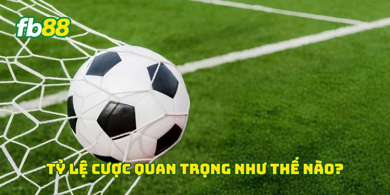 Tỷ lệ cược quan trọng như thế nào?