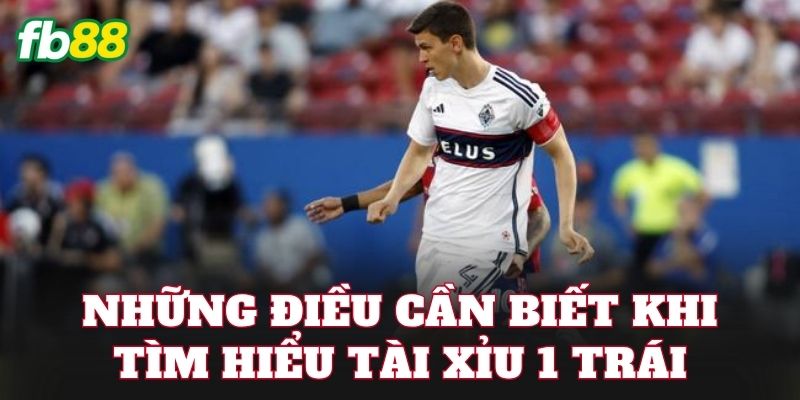 Những điều cần biết khi tìm hiểu tài xỉu 1 trái
